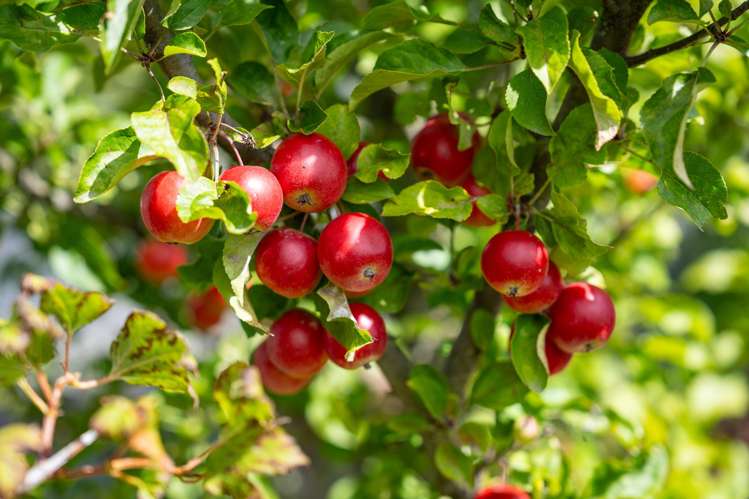 3 Mold Street Middlemarch_7