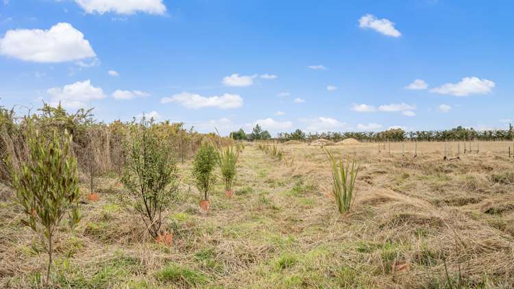 78 Bruces Road Sefton_8