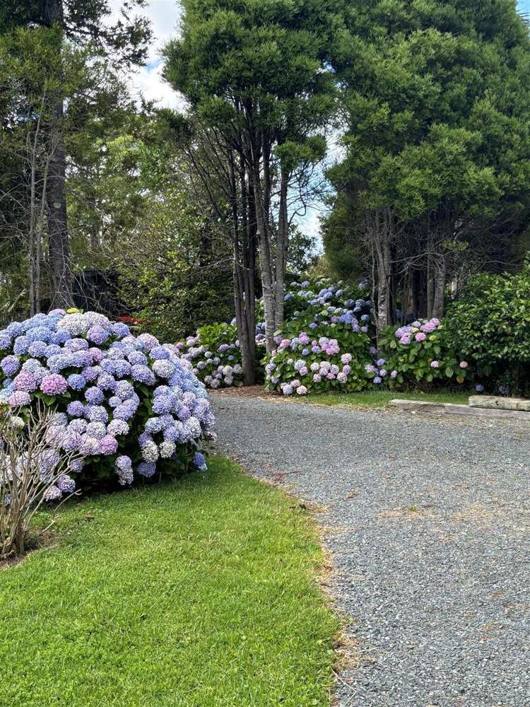 40 & 42 Waimanu Place Point Wells_19