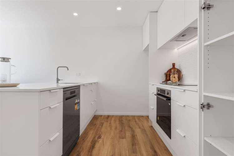 155b Strickland Street Spreydon_6