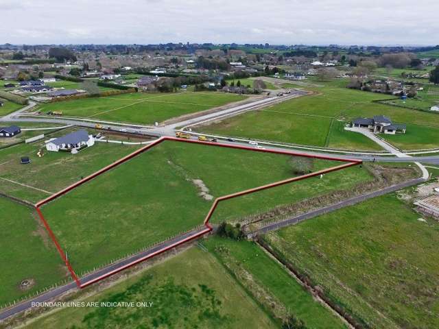 107 Birchwood Lane Tamahere_2