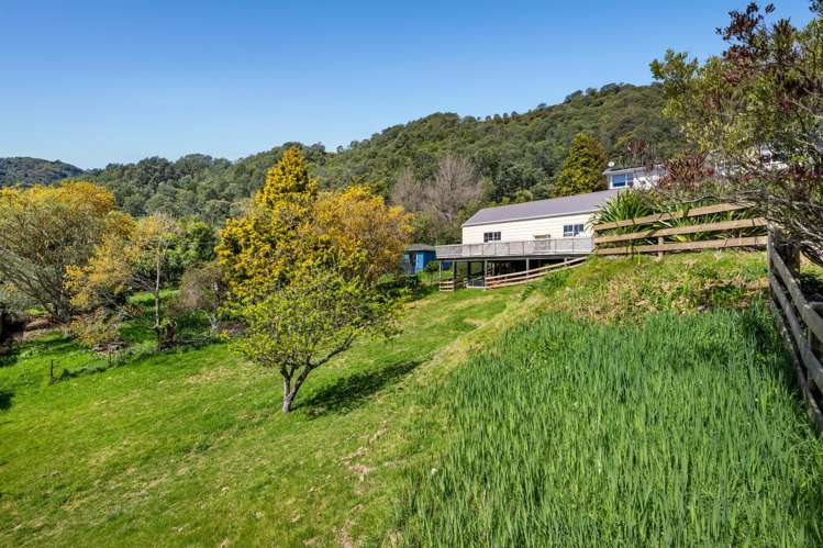 8 and 8a Angle Street Picton_22