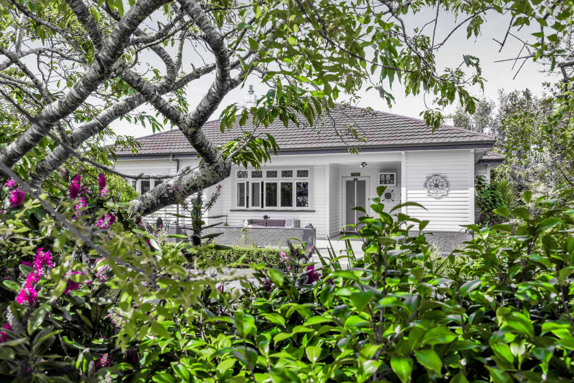 1170A South Road Manaia South Taranaki Houses for Sale One Roof