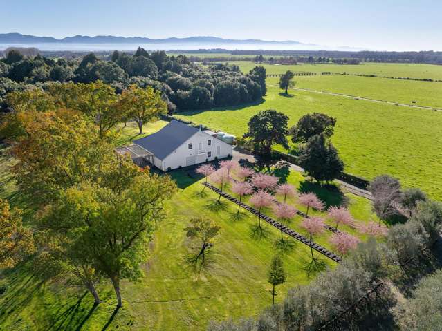 2111 Kahutara Road Kahutara_4