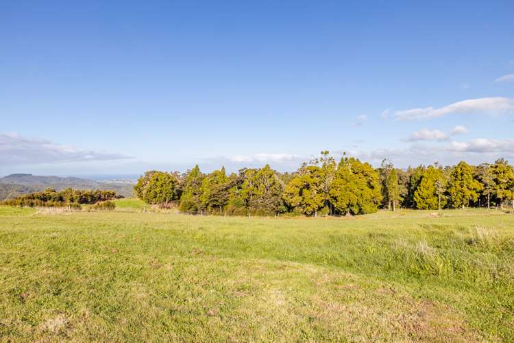 750 Kaiikanui Road Hukerenui and Surrounds_14