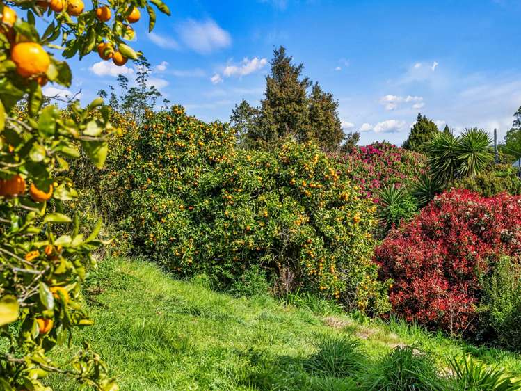 20 McLaren Falls Road Lower Kaimai_23