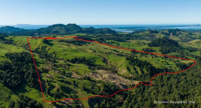 744 Woodlands Road Waihi_1