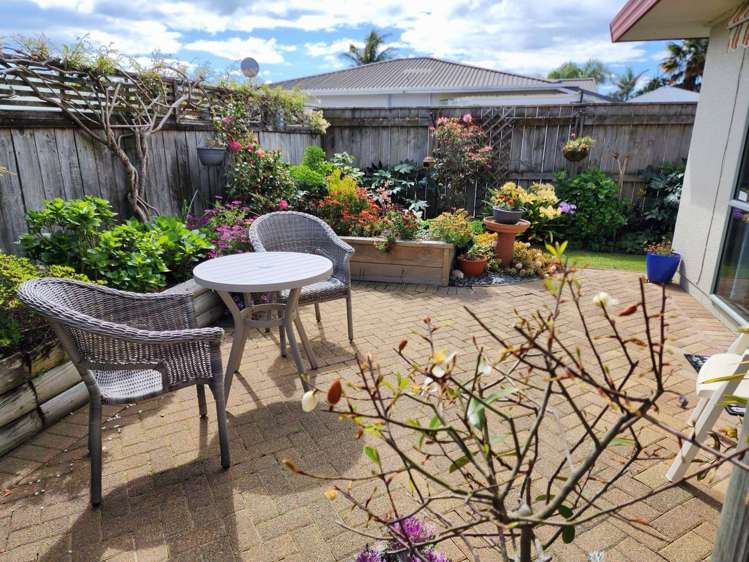 86a Mcalister Street Whakatane_12