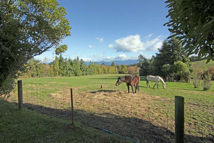 23 Hewetson Road Upper Moutere_5