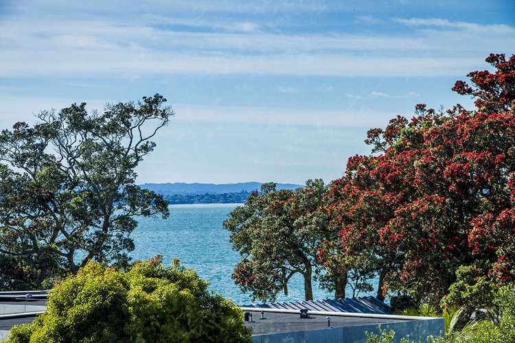 5 Oneills Avenue Takapuna_25