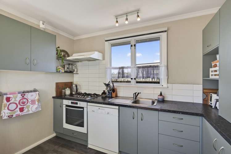 317 Carrington Street Vogeltown_9