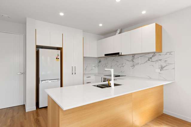 338A Worcester Street Linwood_3