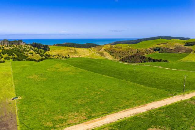 780 Te Maire Road Te Kopuru_3