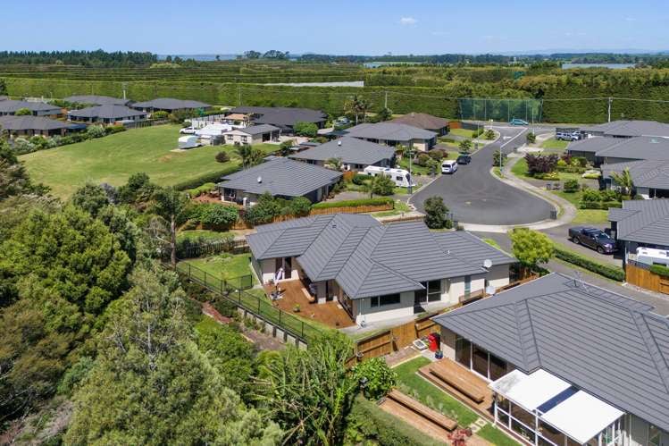 10 Friis Drive Katikati_1