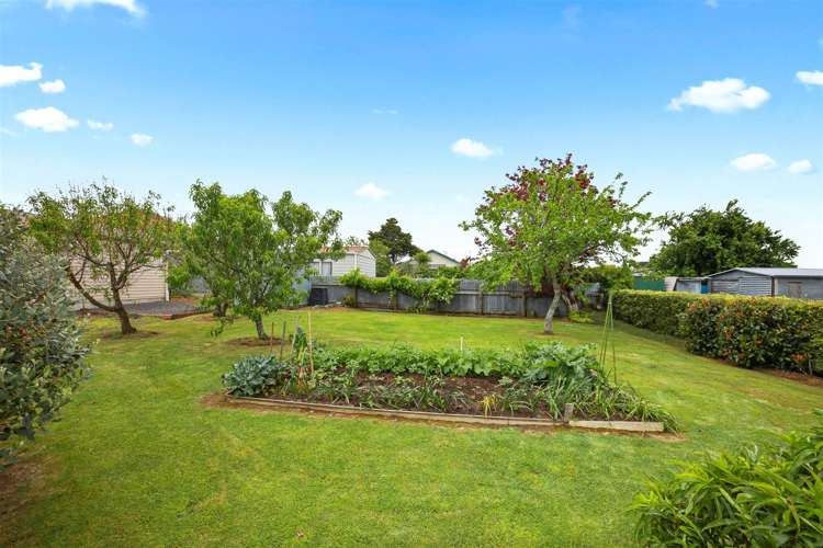 6 Buchanan Street Paeroa_13