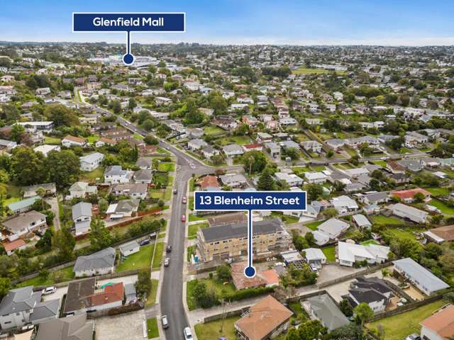 13 Blenheim Street Glenfield_3