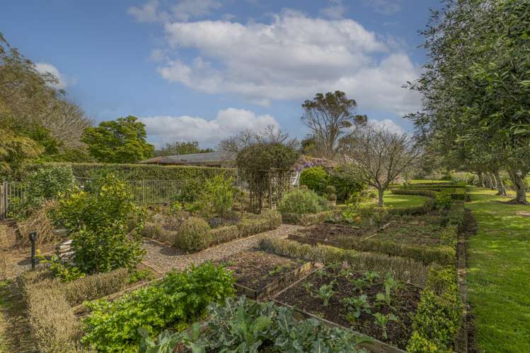 62 Racecourse Road Whitianga_6