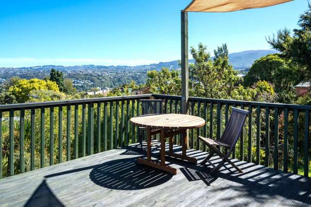 124 Blacks Road Opoho_3