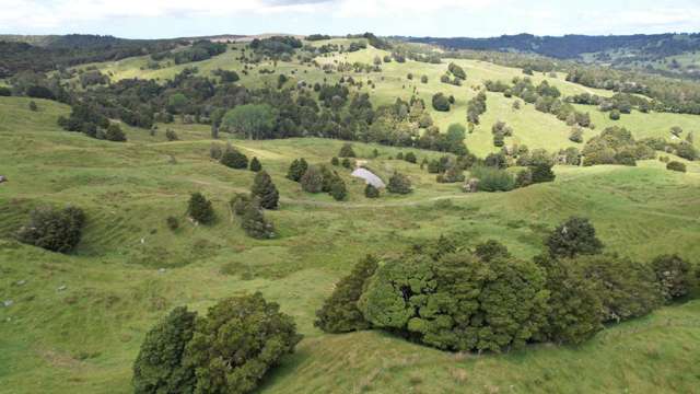 Well Appointed Okaihau Beef Block