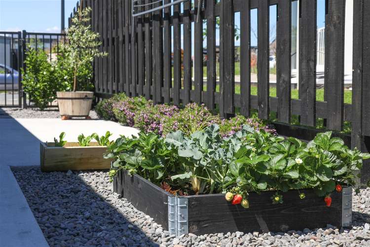 132 Rimu Street Te Kauwhata_16