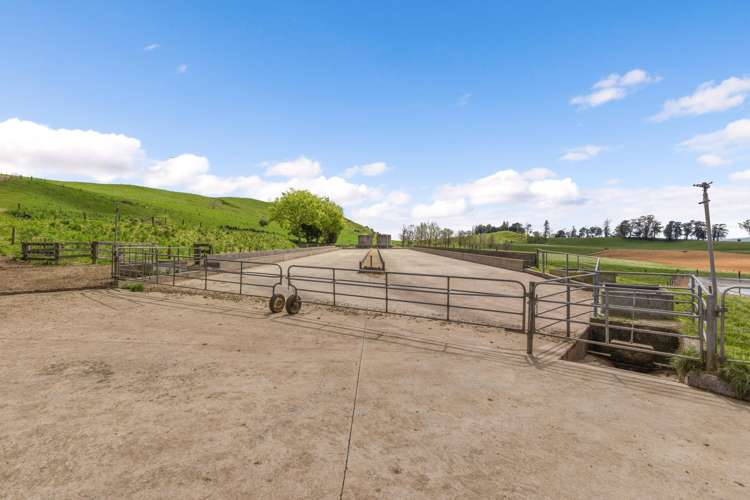 58 Nicholson Road Piarere_11