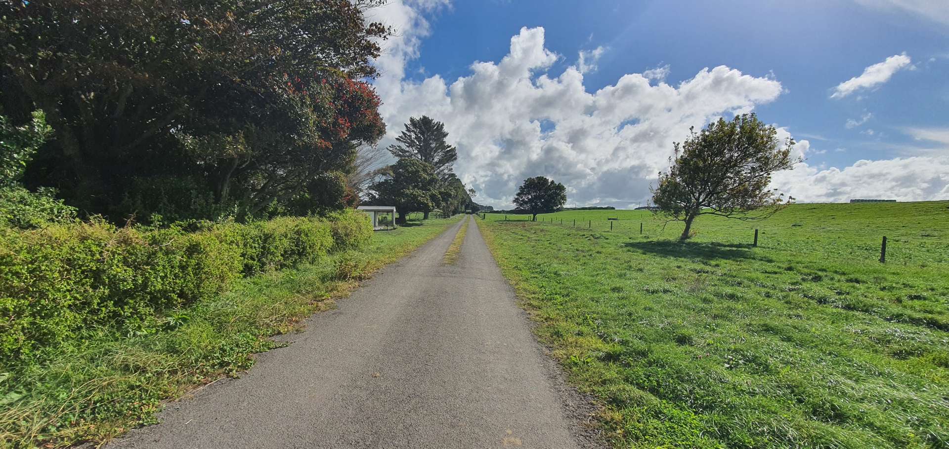 190 Inaha Road Manaia_0