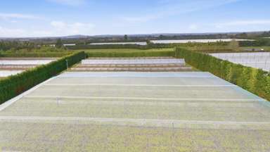 364 Te Matai Road_4
