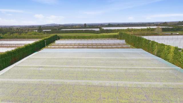 364 Te Matai Road Te Puke_4