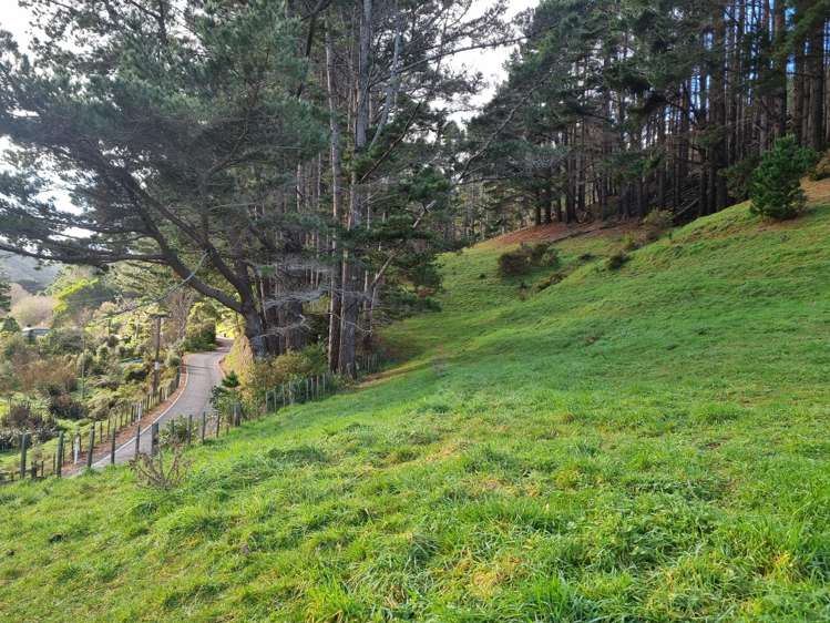 186 Stratton Street Normandale_10