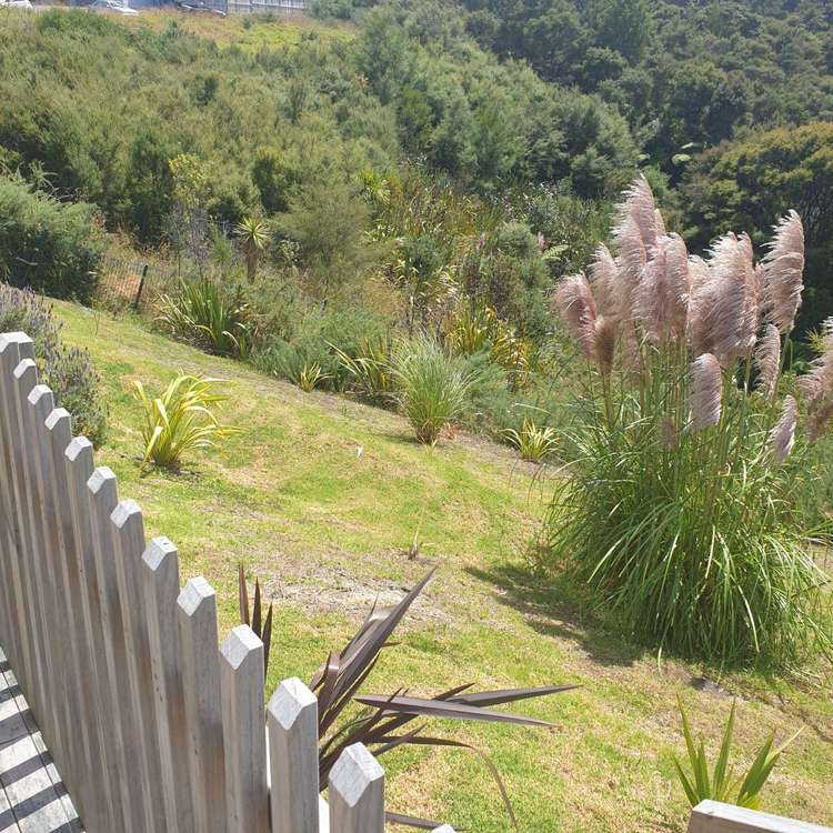 28 Golden Morning Drive Albany Heights_16