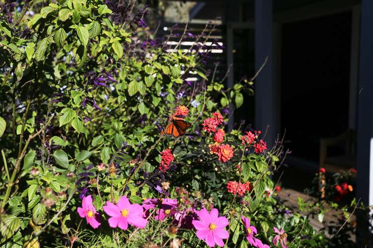 92 Cornfoot Street Castlecliff_22