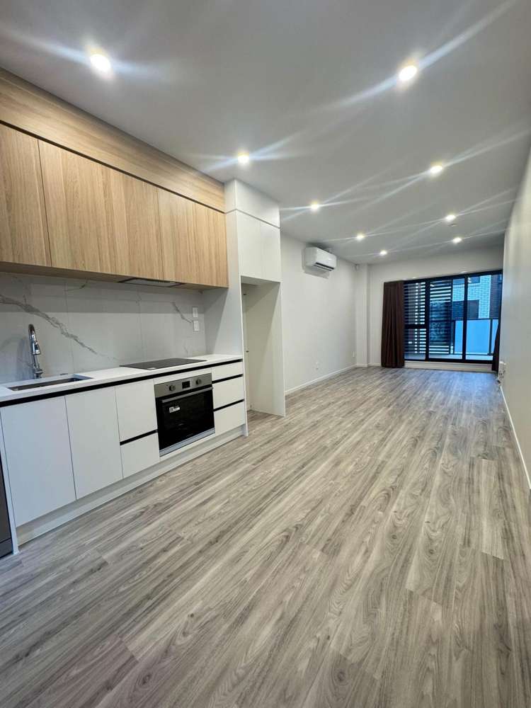 19/5 Mount Albert Road Mt Albert_2