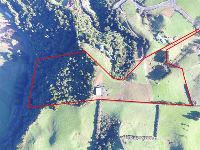 79a Dickey Flat Road Waikino_1