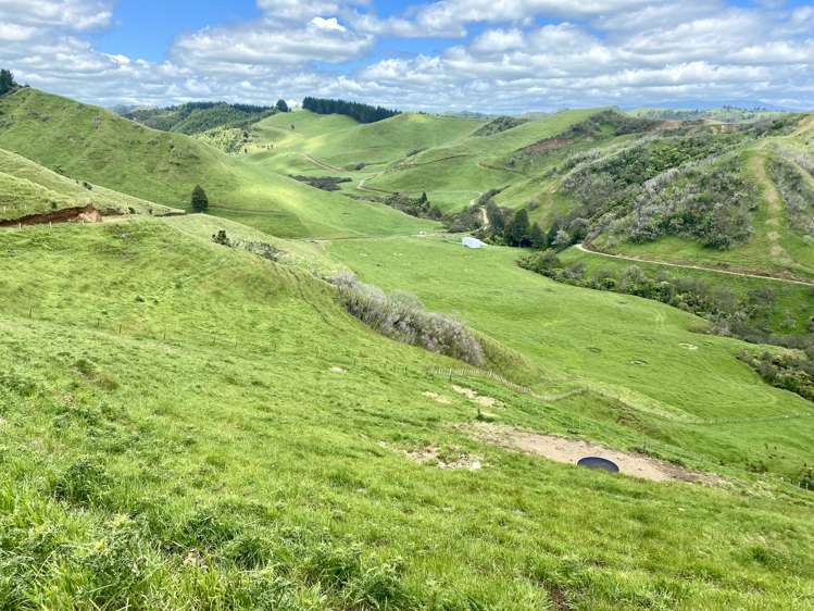 419 Motukawa Road Tarata_18