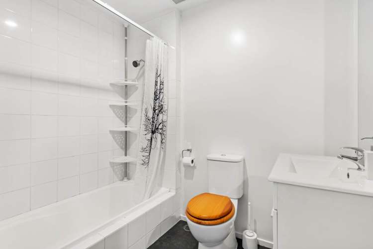 4a Fitzroy Street Ponsonby_13