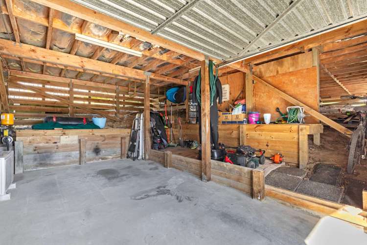 18a Delshaw Avenue Stanmore Bay_15