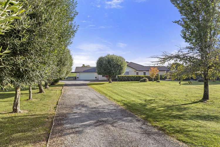 46 Glen Ida Way_4