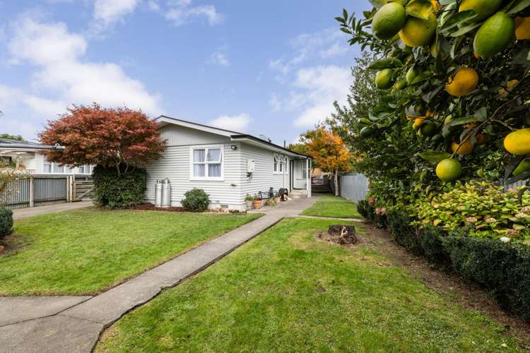 9 Elliott Crescent Havelock North_14