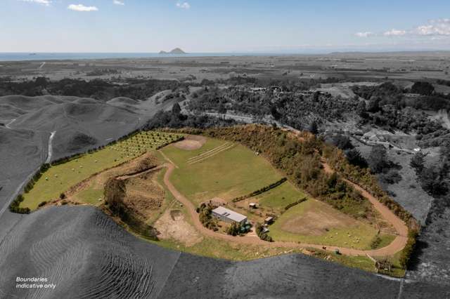 230b Withy Road Manawahe_1