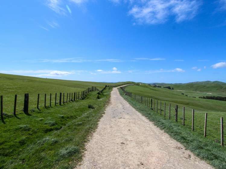 1530 Waihi Valley Road Pongaroa_22