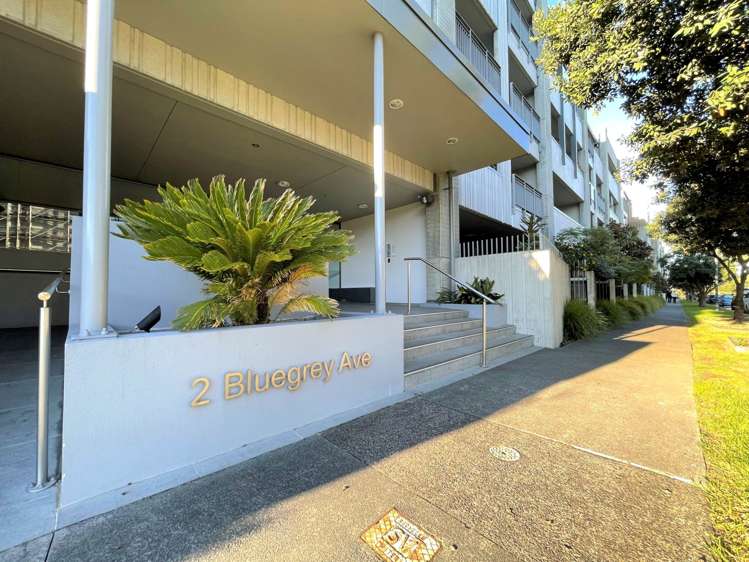 G03/2 Bluegrey Avenue Stonefields_14