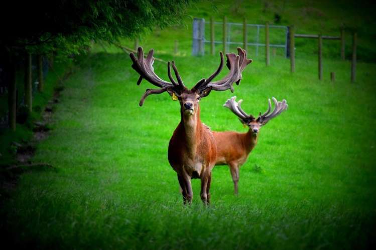 273 Ashley Gorge Road Oxford_12