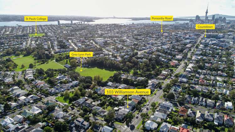 103 Williamson Avenue Grey Lynn_19