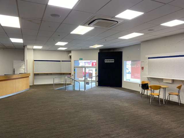 227 Riddiford Street Newtown_4