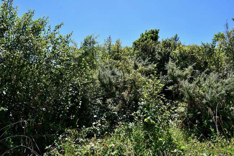 9 Nikau Heights Little Wanganui_7