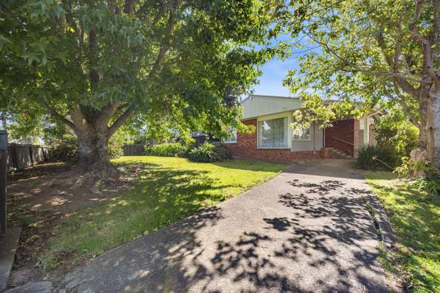 SOLID BRICK KIWI DREAM | PURE POTENTIAL