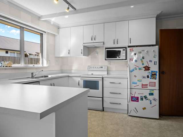 7 Glassey Drive Allenton_1
