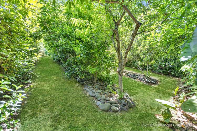 80 Koutunui Road Athenree_31