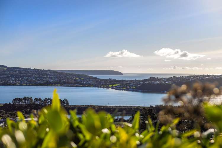 26 Milford Street Aotea_14