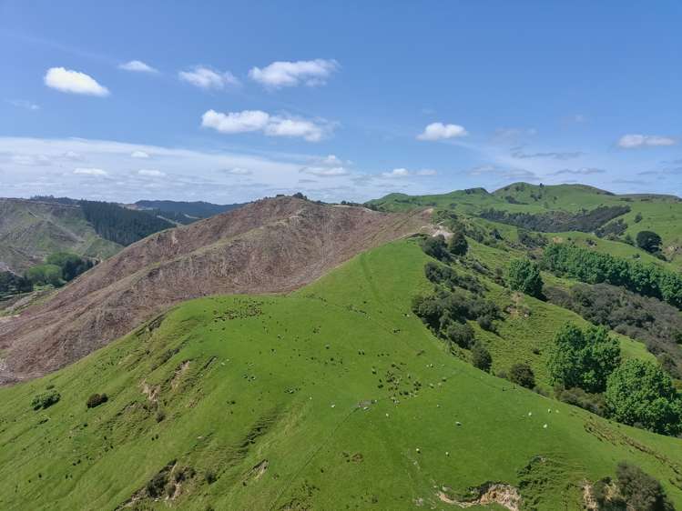 370 Matatara Road Parikino_6